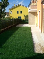 clicca qui per ingrandire la foto